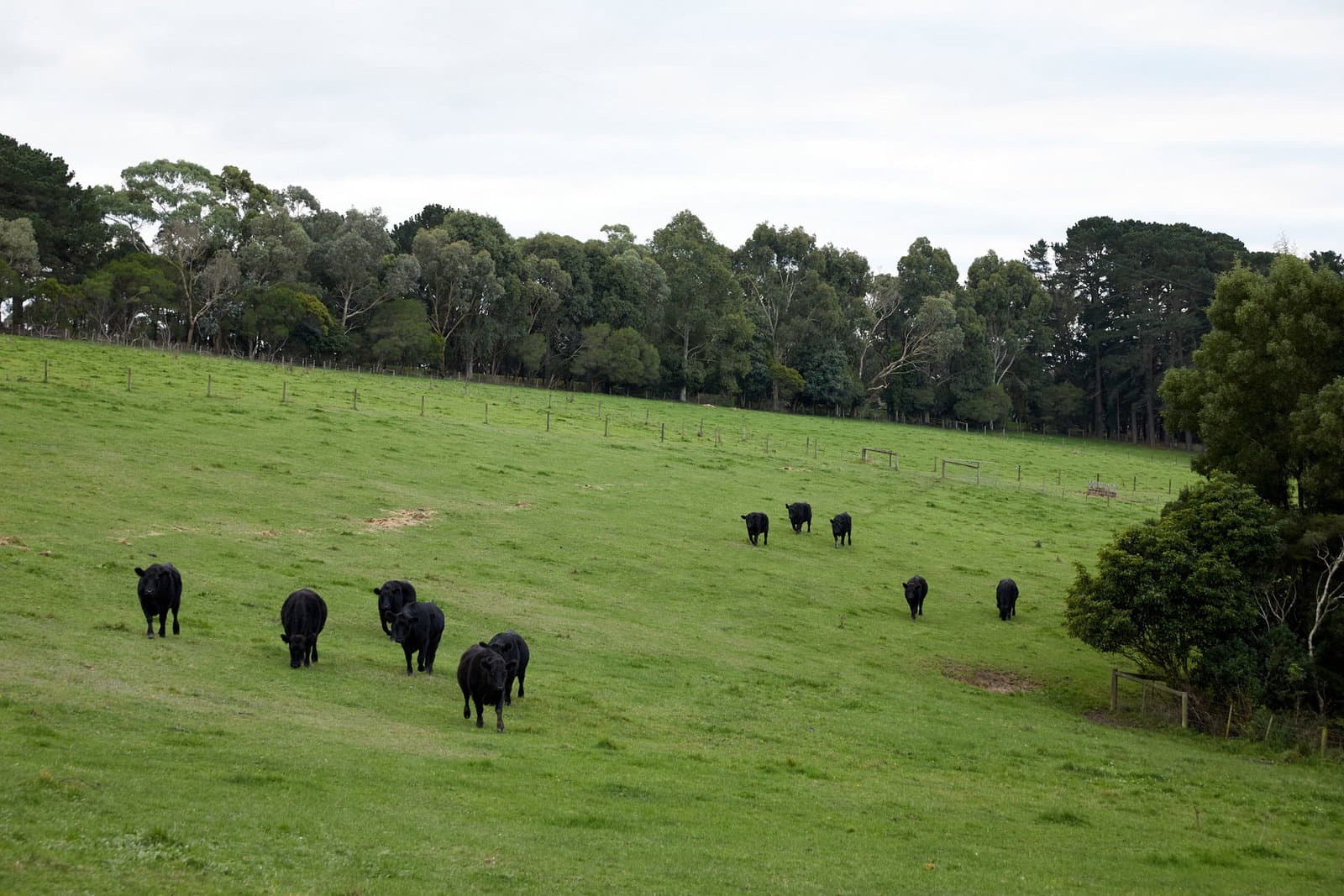 Image 78 of 117