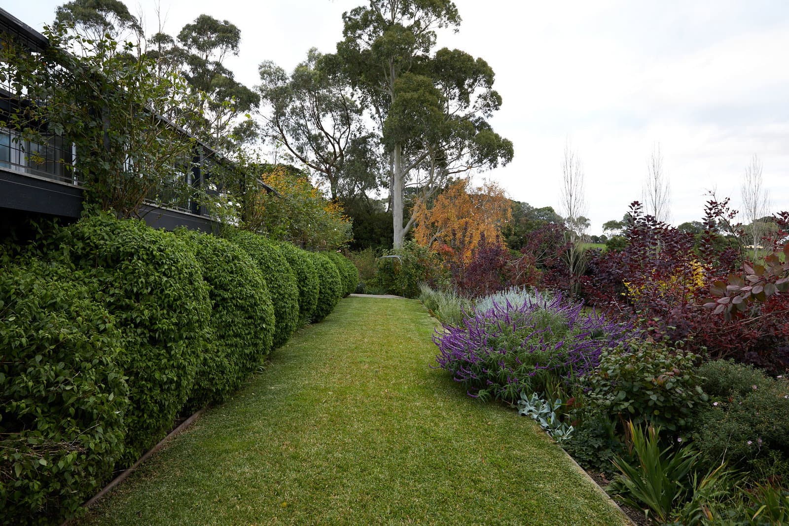 Image 79 of 117