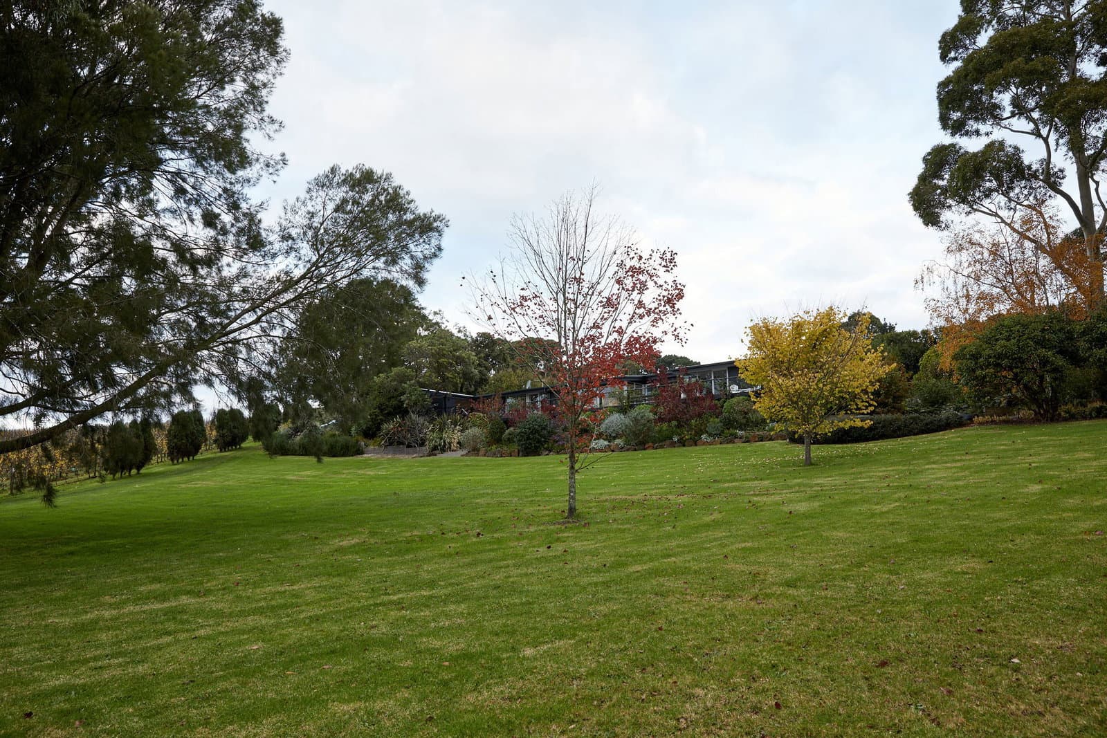 Image 109 of 117