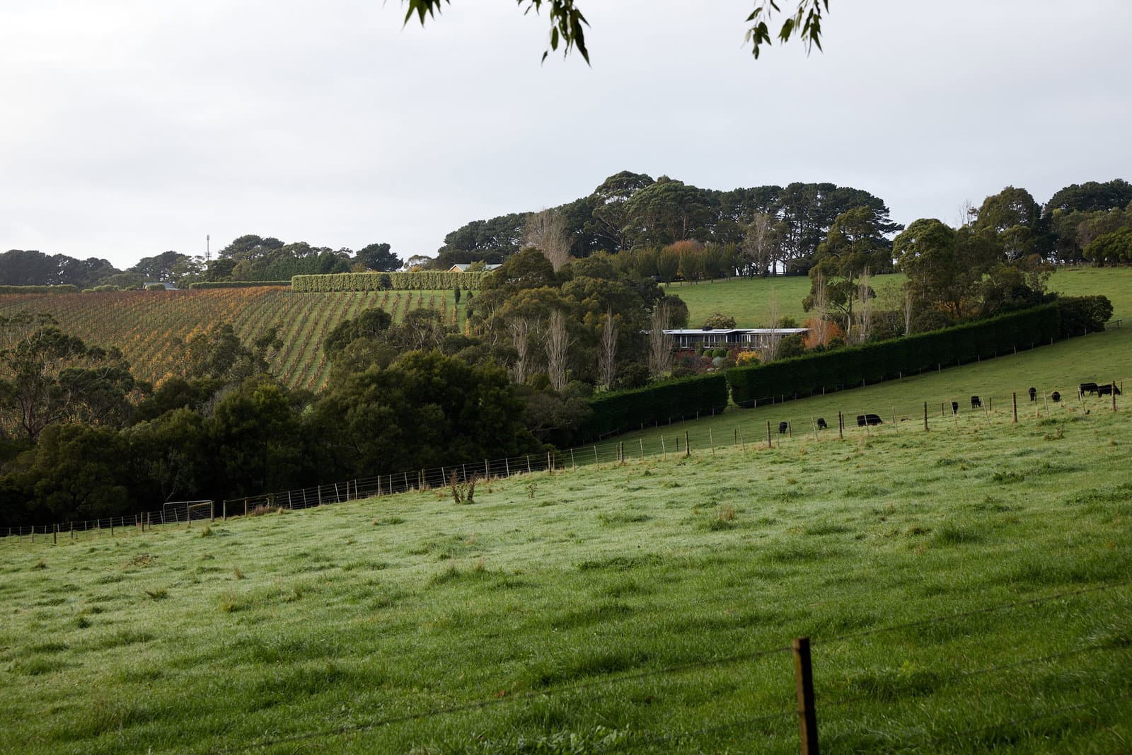 Image 90 of 117