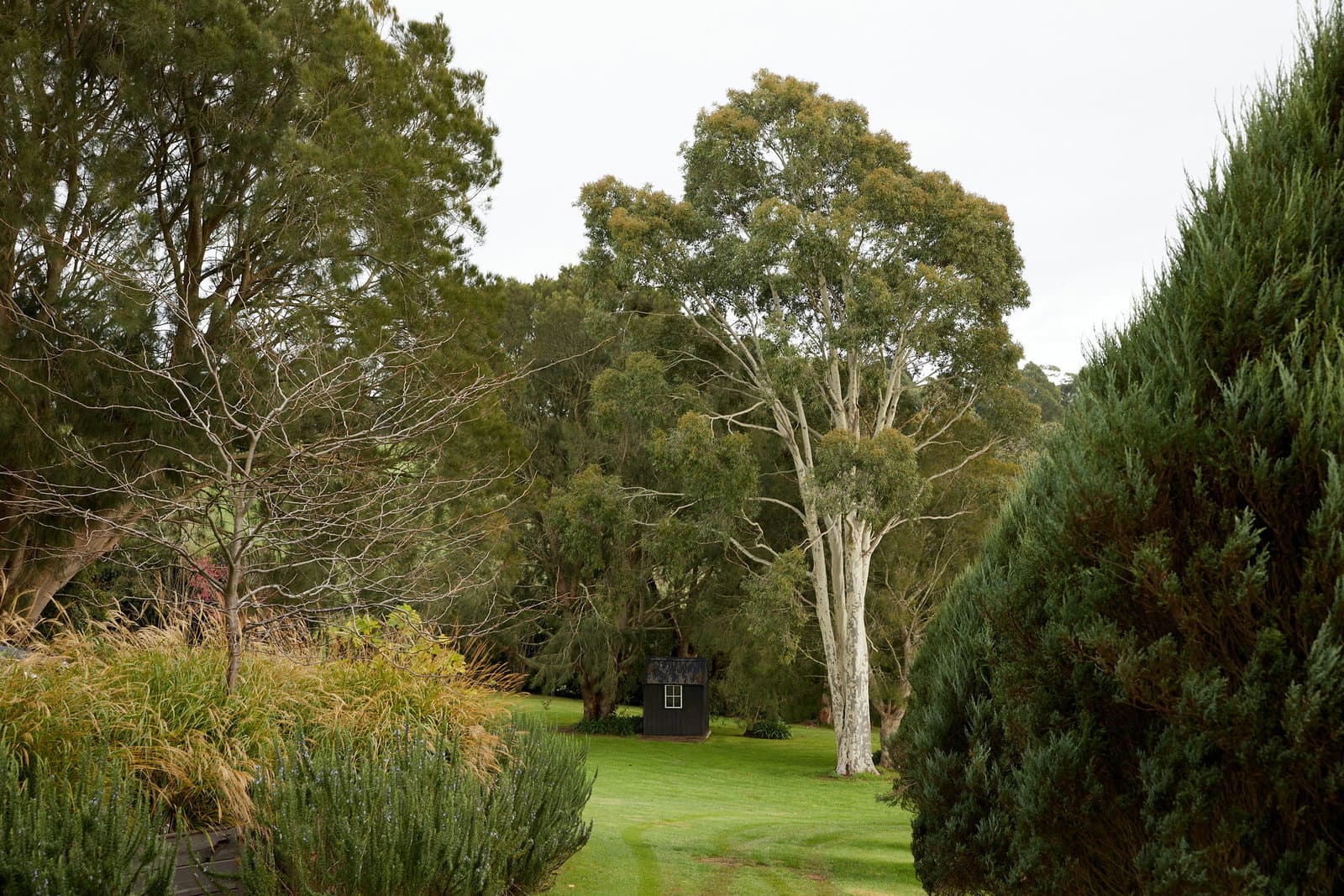 Image 91 of 117