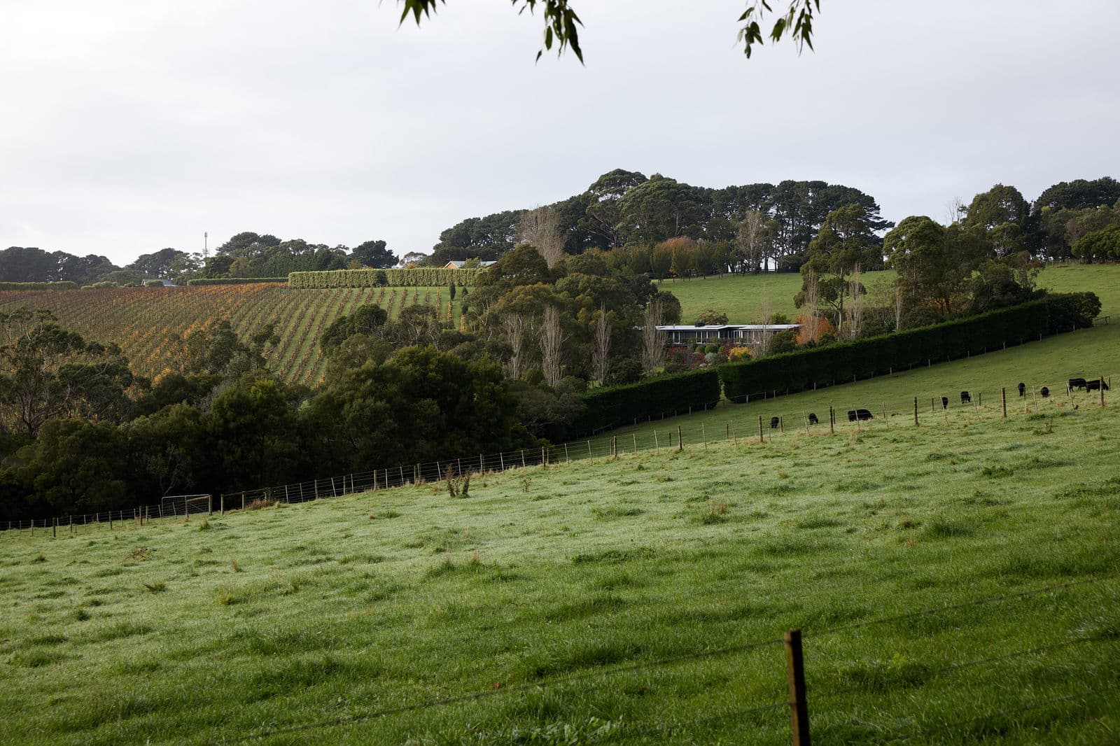 Image 41 of 117