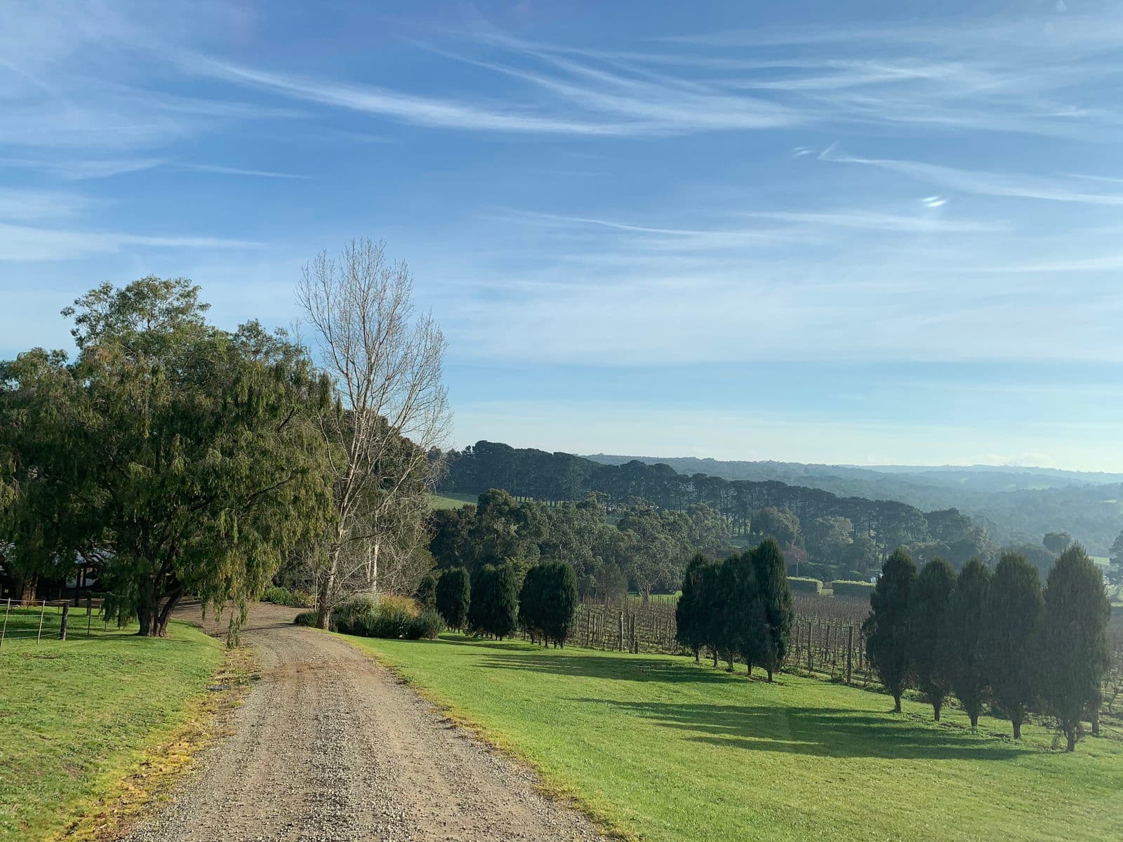 Image 49 of 117