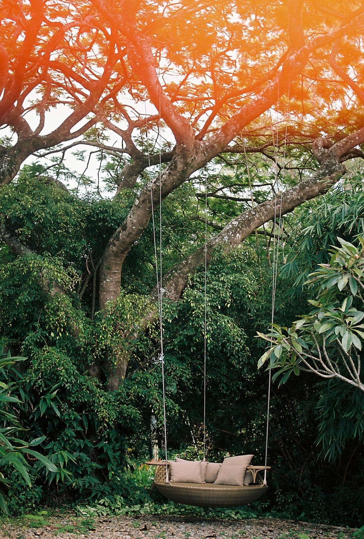 Image 19 of 24