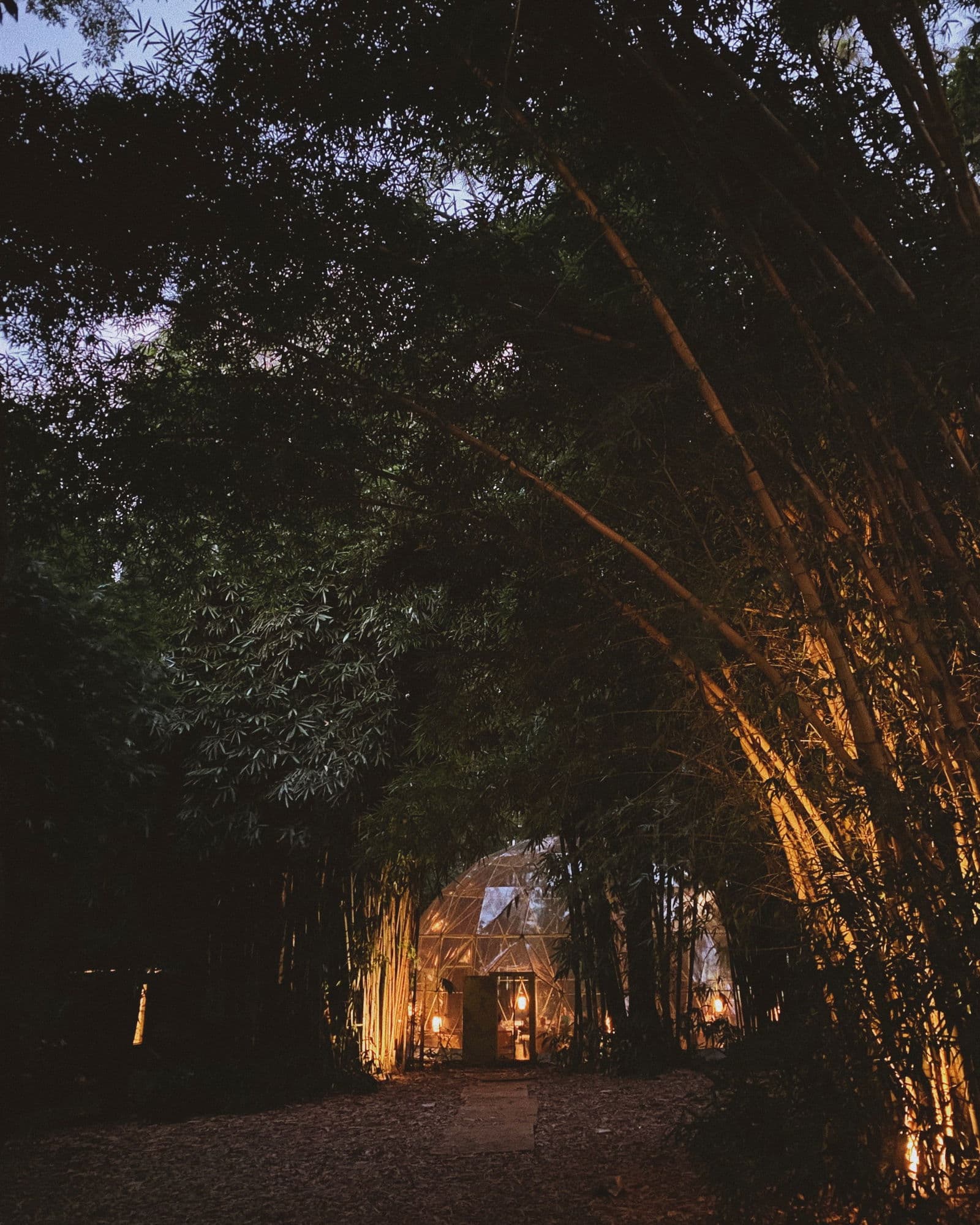 Image 24 of 24