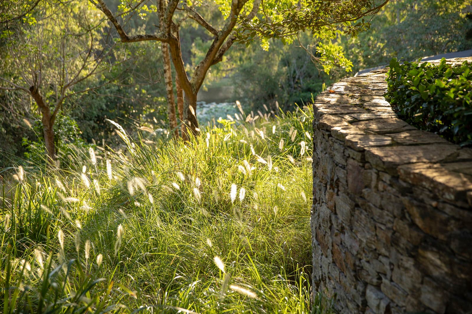 Image 38 of 43
