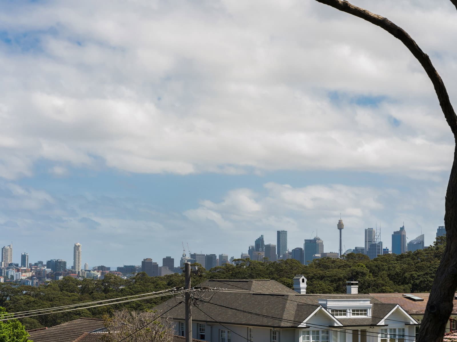 Image 195 of 201