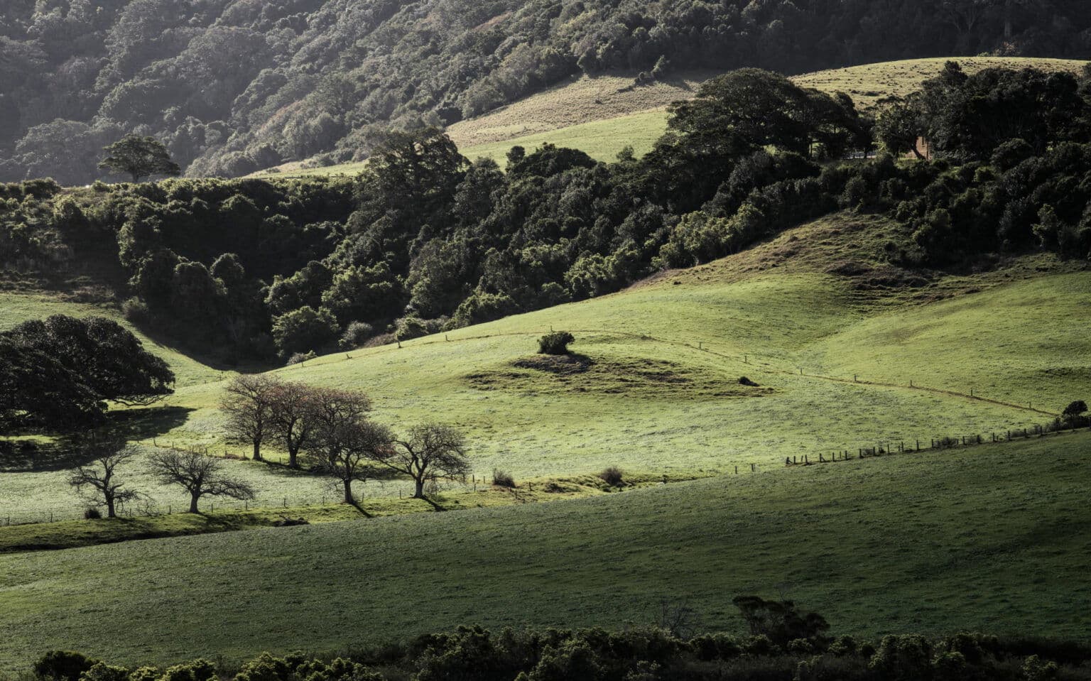 Image 28 of 28