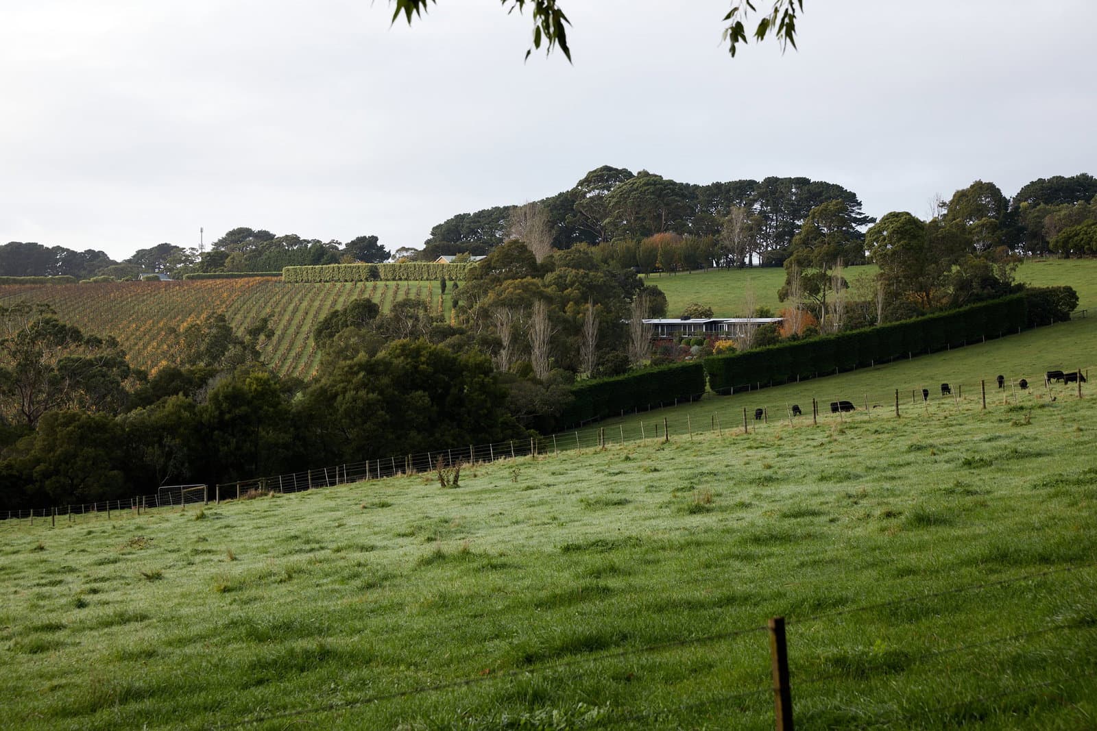 Image 158 of 166