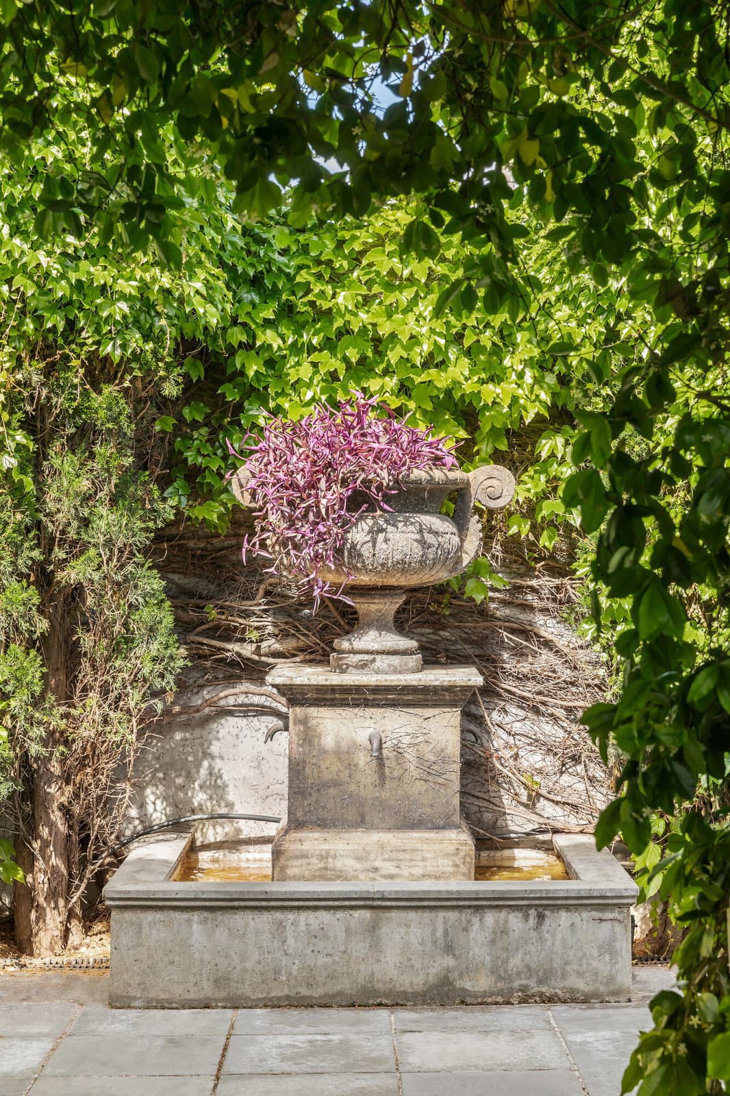 Image 54 of 58