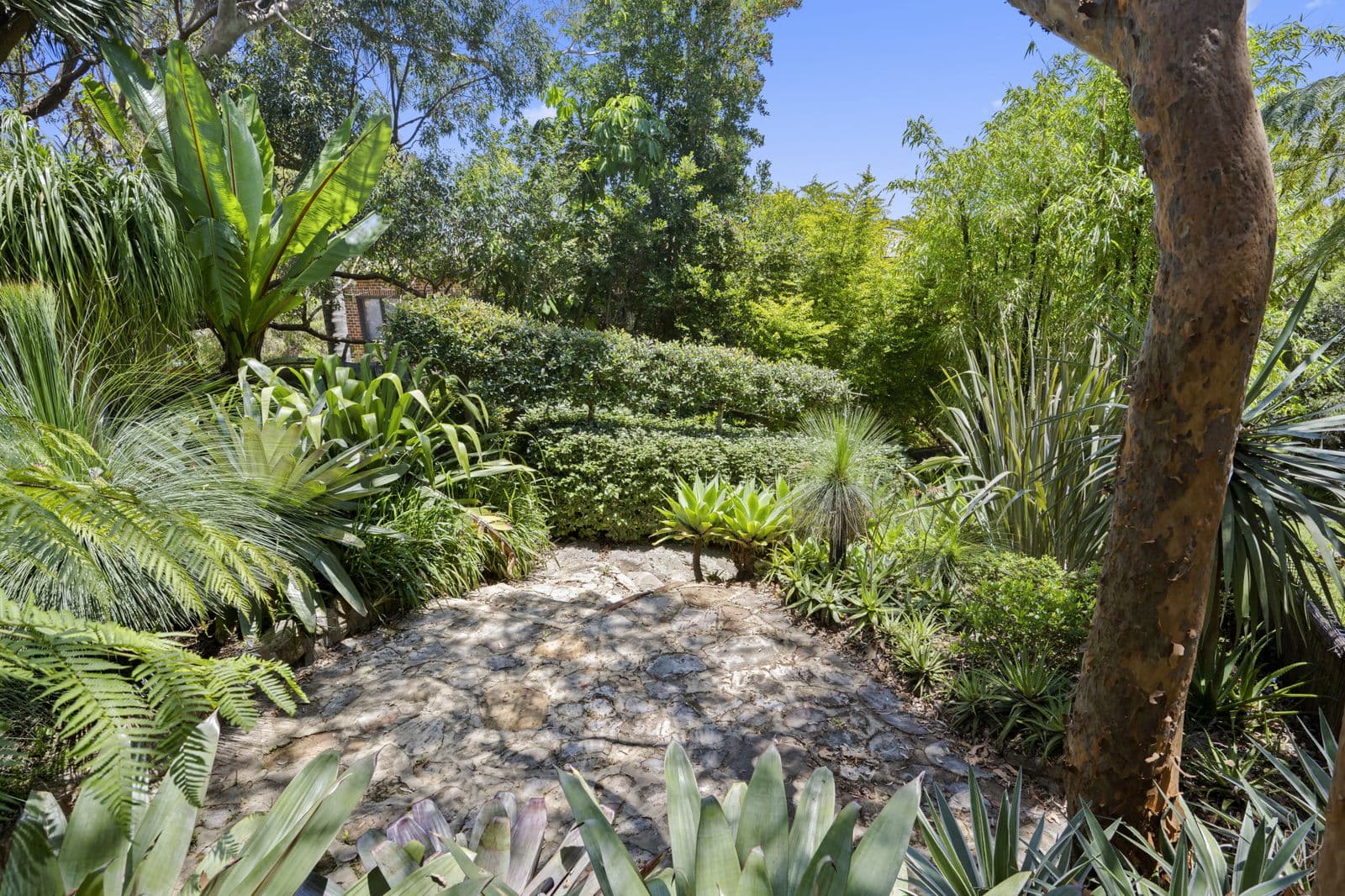 Image 41 of 41
