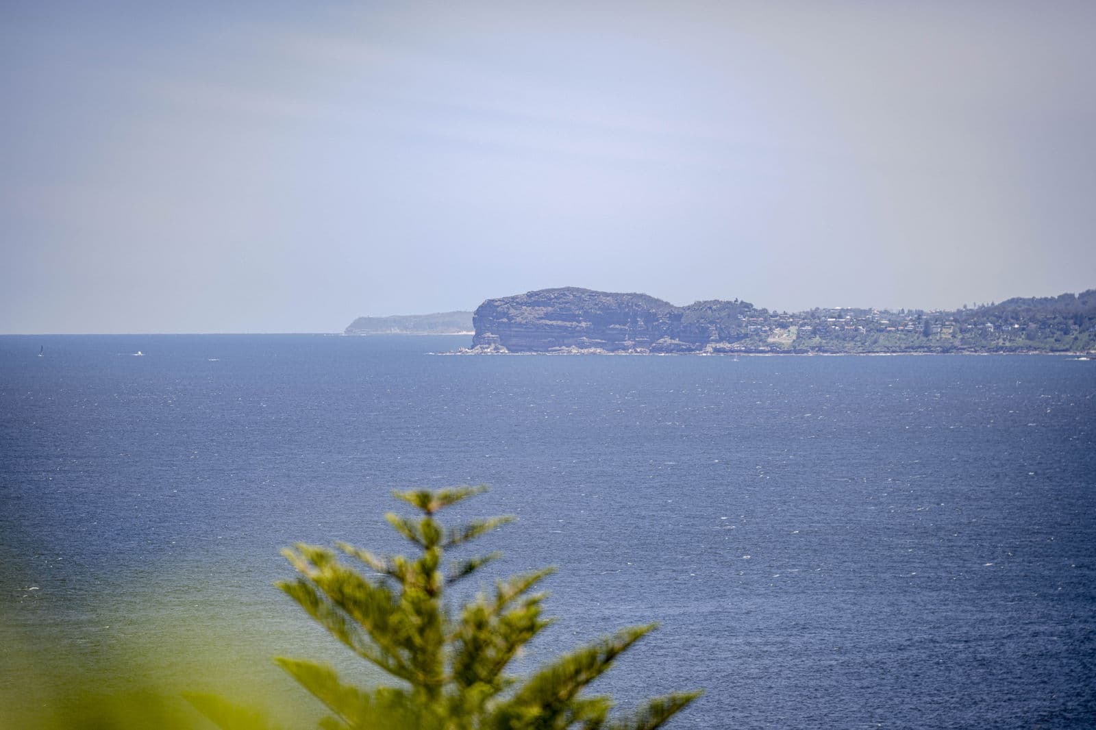 Image 38 of 41